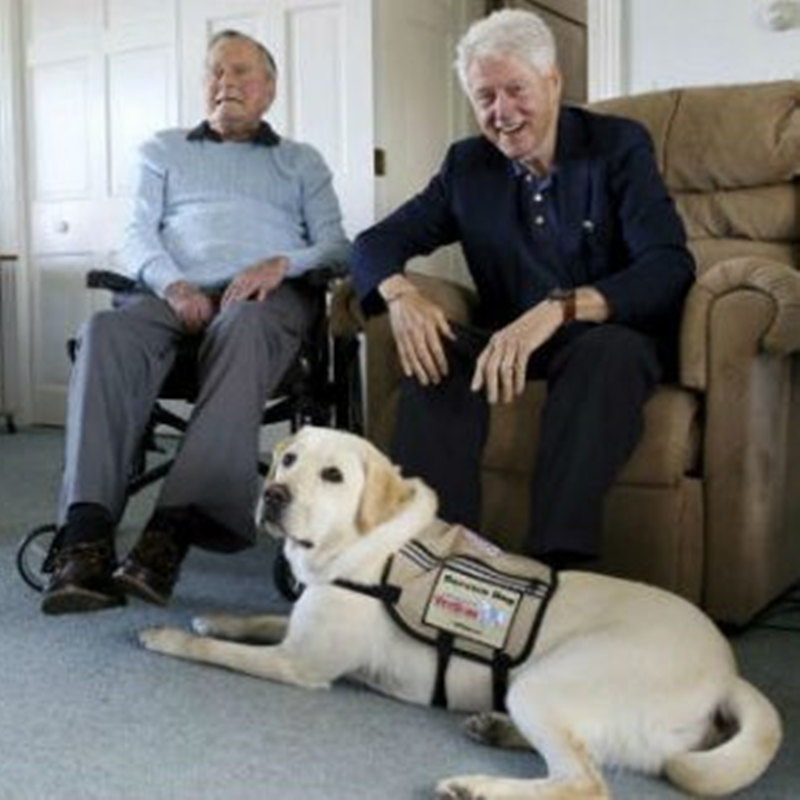 Der frühere Präsident Bush begrüßt einen neuen Diensthund auf dem Gelände von Kennebunkport